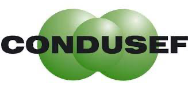 logo condusef